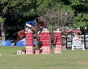 LaPeyre Colly Boy Giovanili2013 S5 5695 : Arezzo Equestrian Centre, Colly Boy, LaPeyre Francesco, foto di Stefano Secchi ©. Campionati Italiani Giovanili 2013
